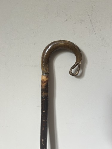 Ramshorn shepherds hook - ramshorn,