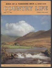 Country Life May 1967 HORSHAM