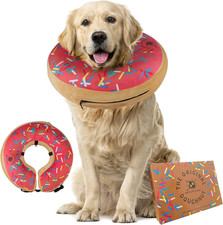 Inflatable Dog Collar | Great
