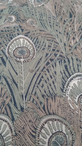 Hera peacock feather - hera,