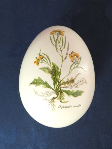 Vintage poole pottery trinket - vintage,
