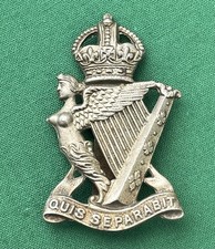 The Royal Irish/Ulster Rifles