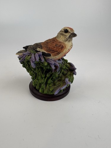 The country bird - the,