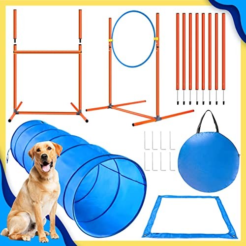Dog agility equipment 6pcs - dog,