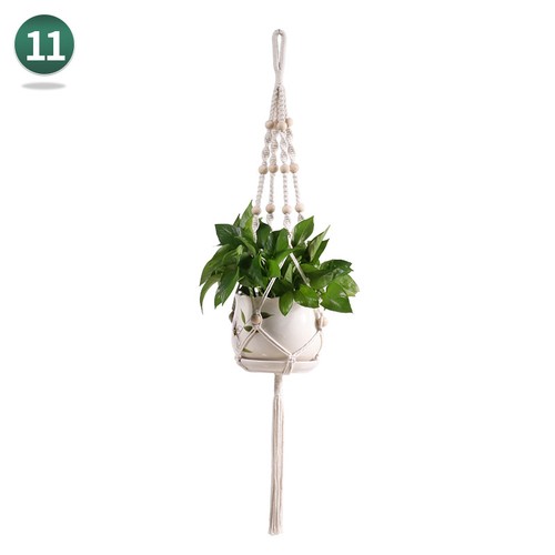 Hanging basket flower - hanging,