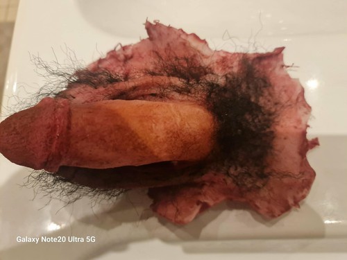 Severed prosthetic penis - penis, prop