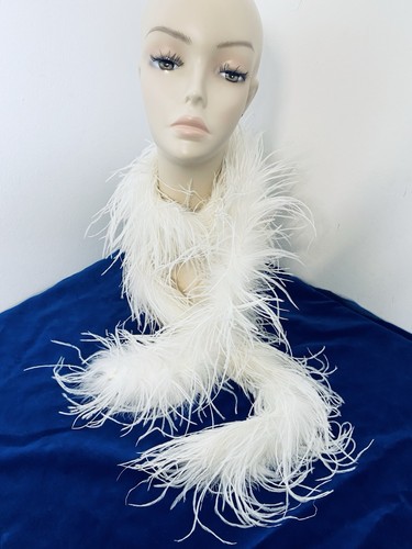 White vintage ostrich feather - white,