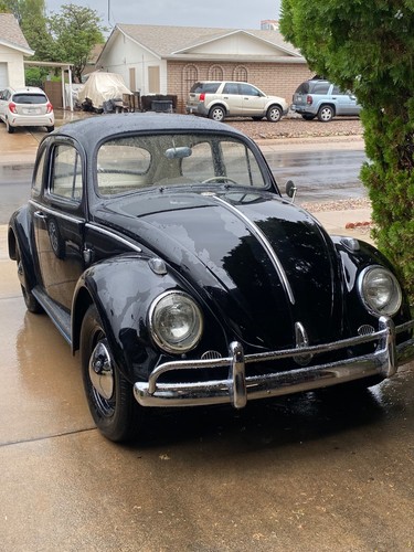 1960 volkswagen bug - volkswagen,