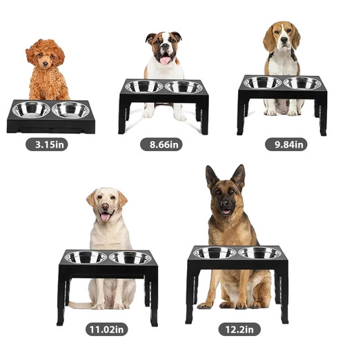 Large raised dog - large,