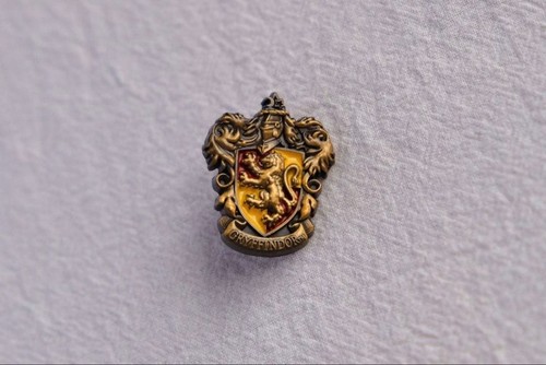 Harry potter pin - harry,