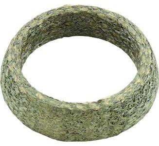 Exhaust gasket - exhaust,