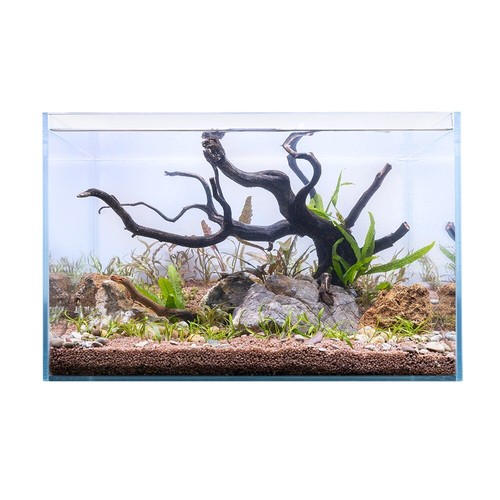 Swell glass aquarium 50cm - swell,