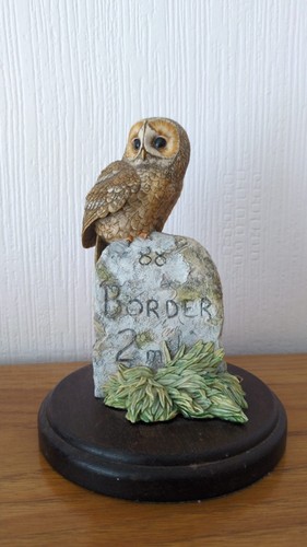 Border fine arts - border,