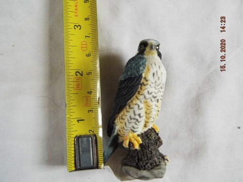 Bird prey peregrine falcon - of,