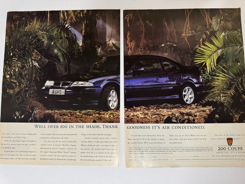 Original 1994 rover - 1994,