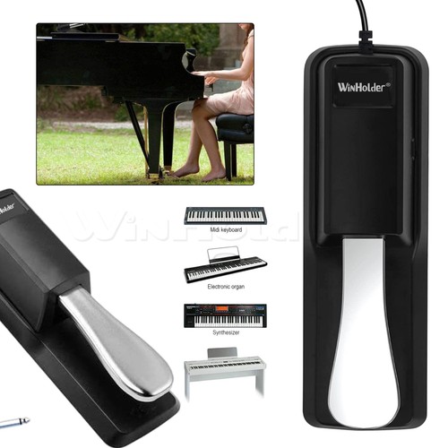 Universal digital piano - digital,