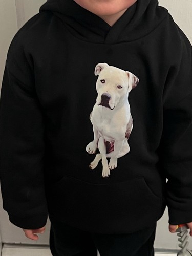 American bulldog plain black - bulldog,