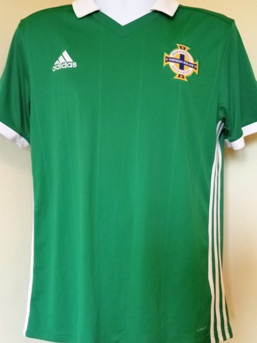 Northern ireland football - ireland,