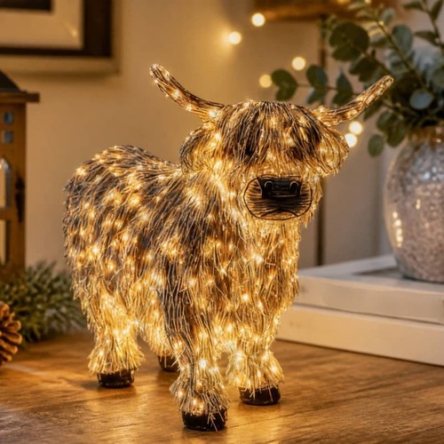 New highland cow - highland, with