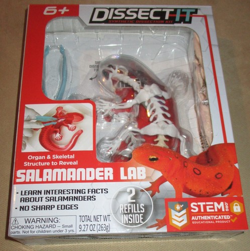 Dissect salamander lab - -,