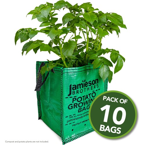 Potato planter grow - 10,
