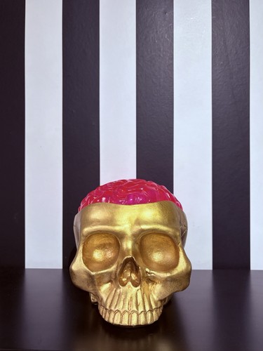 Tkmaxx gold goth - 🩷, skull