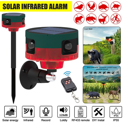 Solar power motion - power, sensor