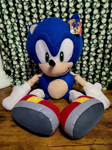 Sonic the hedgehog - hedgehog,