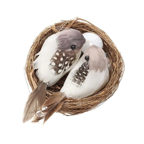 Realistic feather birds - realistic, with