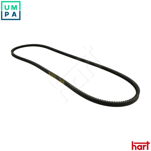 Vbelt 334 202 for - 334,