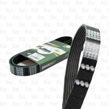 Alternator Drive Belt / Fan