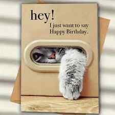 Cute white cat looking through