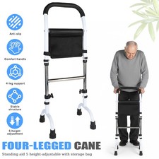 Standing Assist Chair &