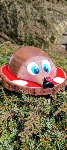 Handmade blushing hedgehog log - blushing,