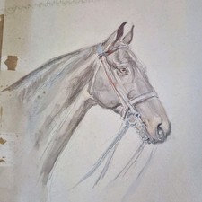 Vintage watercolour study a - vintage,