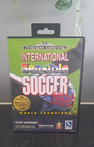 International sensible soccer - international,