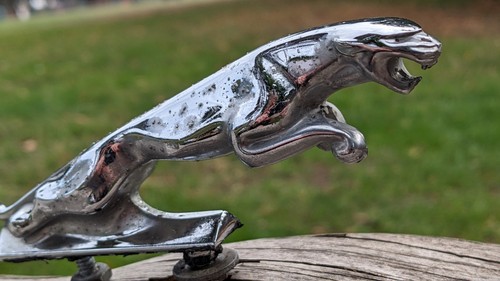Original vintage 1960s jaguar - original,
