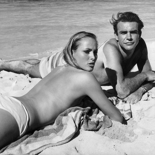 Ursula andress glossy photo - ursula,