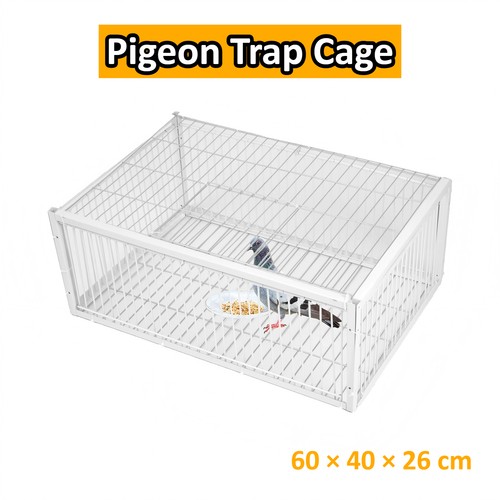 Pigeon trap cage bird - cage,