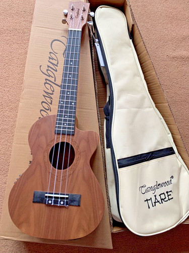 New tenor ukulele - gig, bag