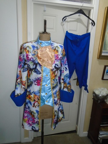 Prince dandini costume - or,