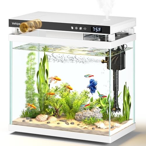 Fish tank aquarium 2 gallon - fish,