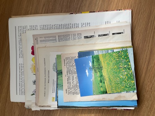 Junk journal pack - journal,