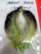 Lot of 6 pair  " Mallard