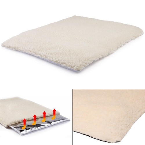 Self heated heating thermal - heating,