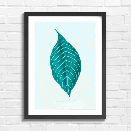 Vintage botanical leaf - botanical,
