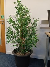 1.5 Metre Artificial