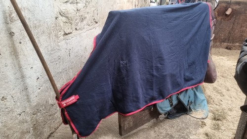 Horseware ireland amigo - ireland,
