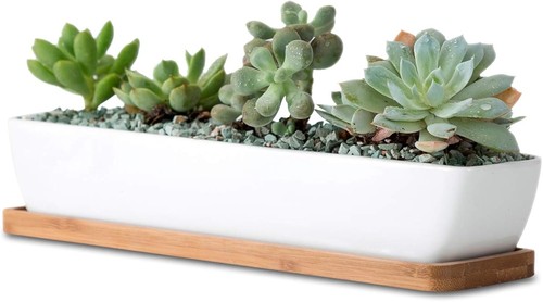 Ceramic succulent planter - planter, pot