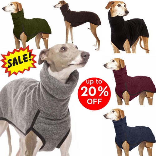 Dog pet winter high - pet, collar